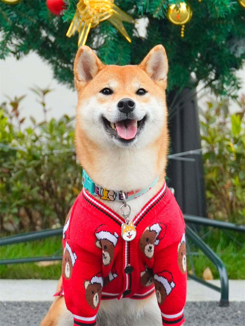 Sweater Dog Festive Festival Red New Year Greeting