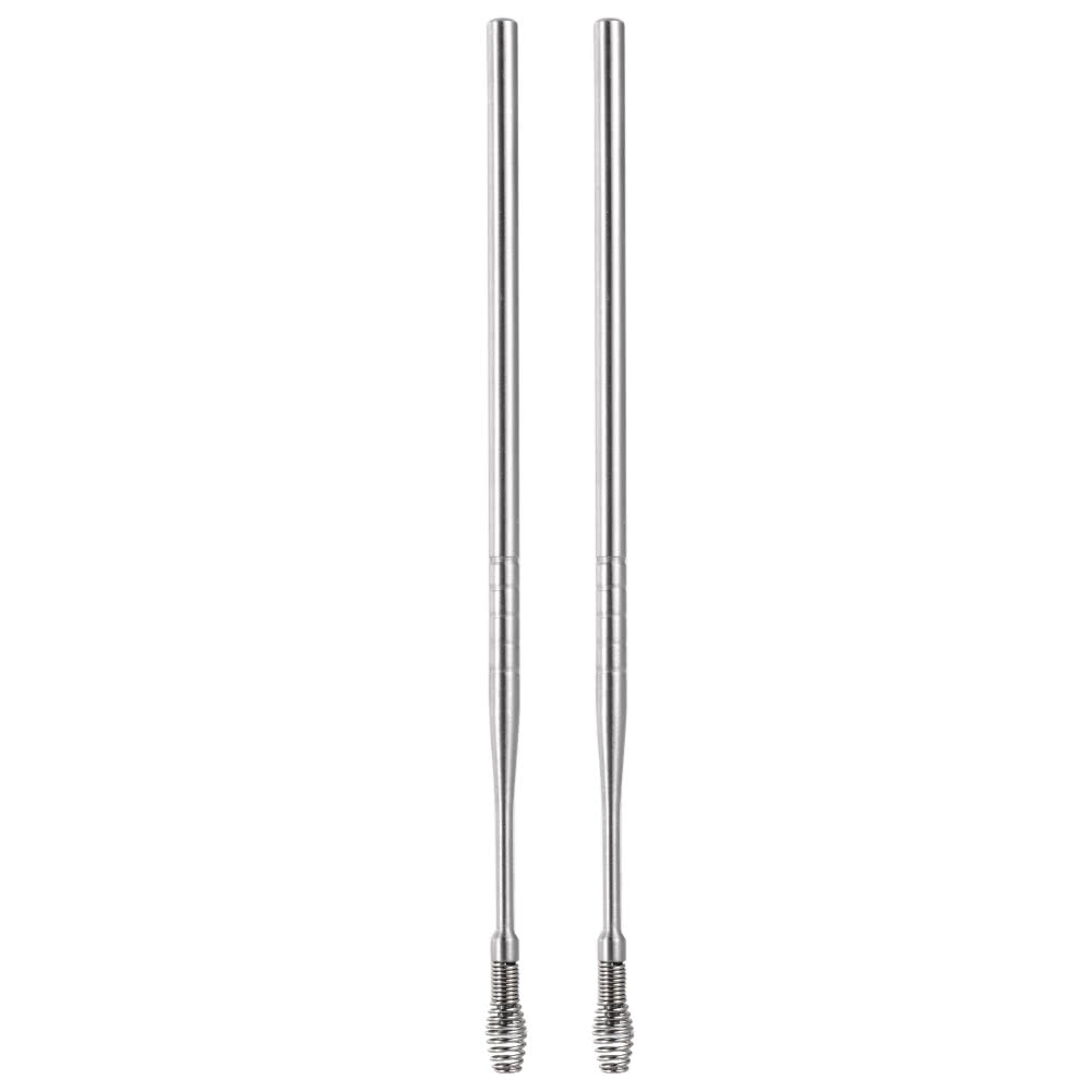 2Pcs Stainless Steel Ear Pick Curette Ear Wax Remover Spiral Spring Earpick Ear Cleaner