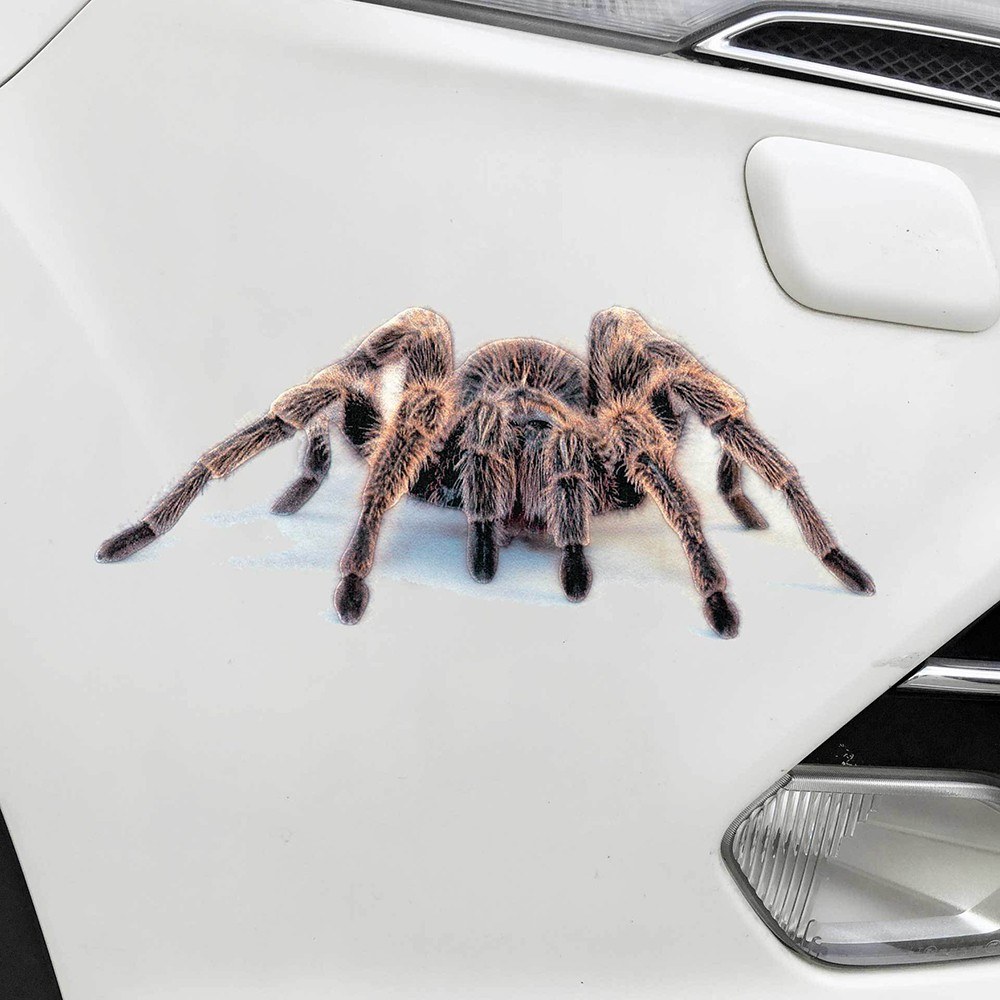 New stereo car spider gecko animal car stickers simulation car tail stickers realistic modification stickers A18 dice one-piece