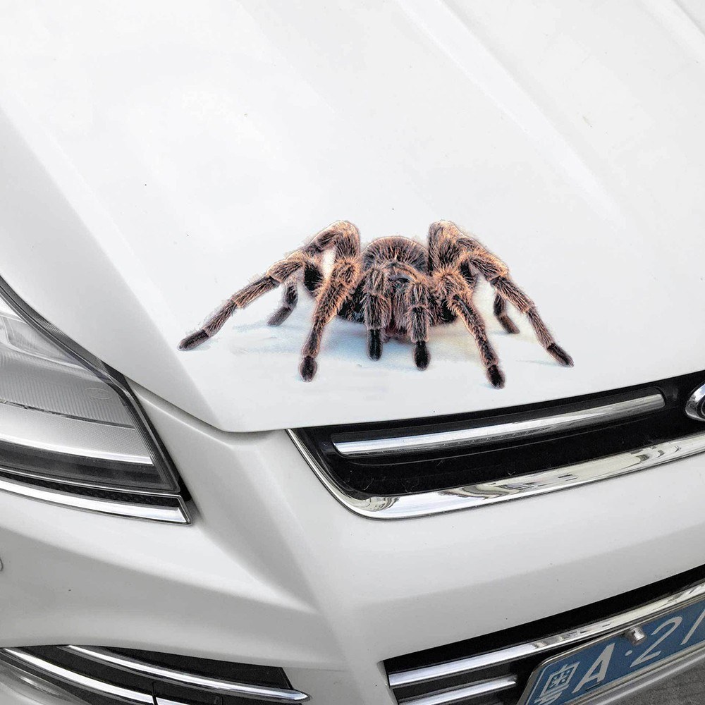 New stereo car spider gecko animal car stickers simulation car tail stickers realistic modification stickers A18 dice one-piece