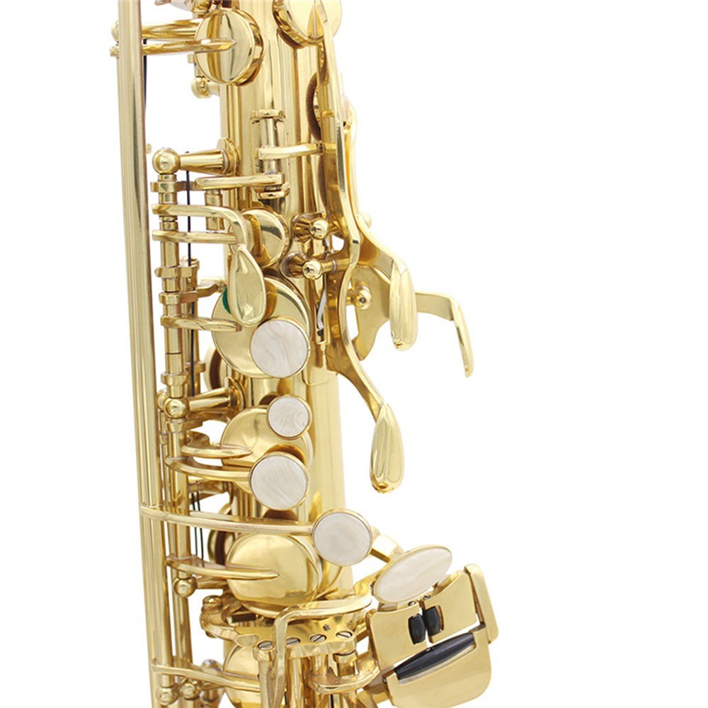 Brass Eb Alto Saxophone Sax Lacquered Gold Woodwind Instrument with Carry Case Gloves Cleaning Cloth Brush Sax Strap Mute Mouthpiece Brush